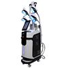 Cryolipolysis Slimming Machine Cryolipolysis Slimming Machine